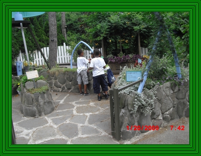 CIMG0186 frame.jpg
