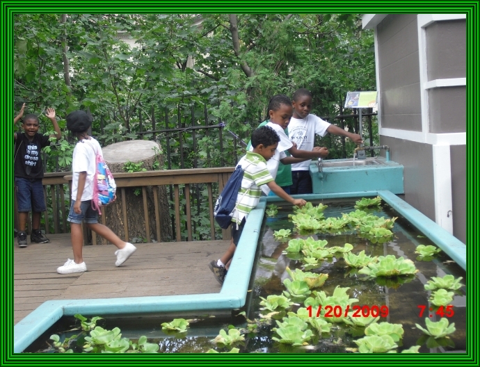 CIMG0192 frame.jpg
