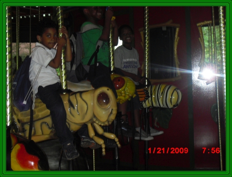 CIMG0248 frame.jpg