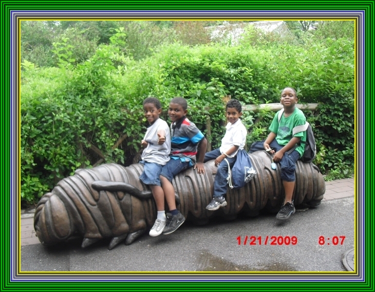 CIMG0253 frame.jpg