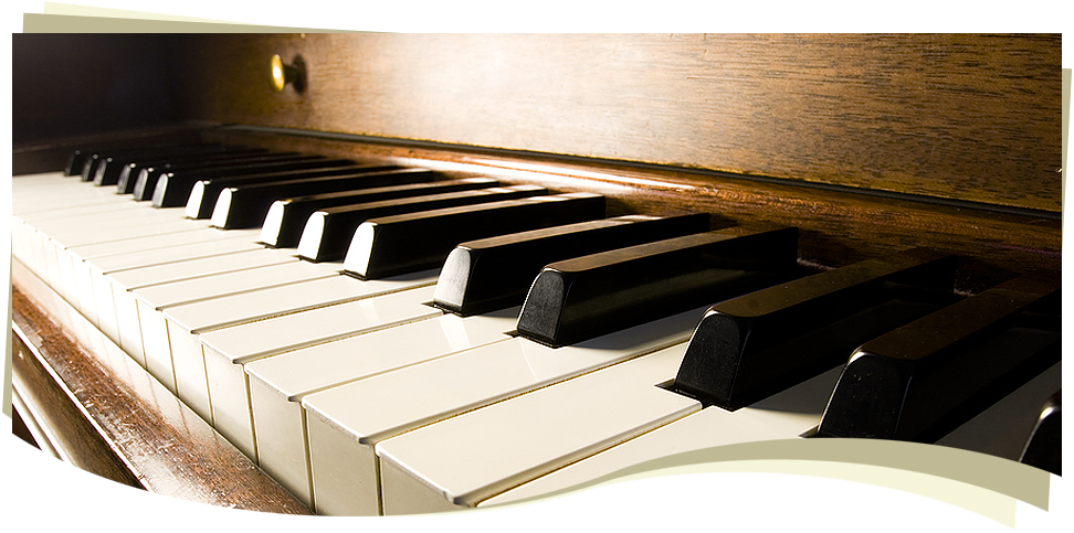 mt-0449-home-slider-img02.png