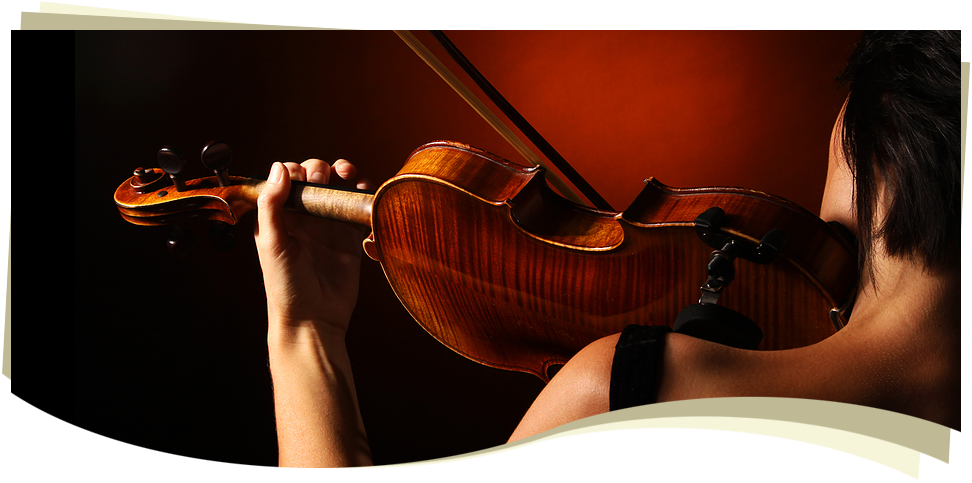 mt-0449-home-slider-img04.png
